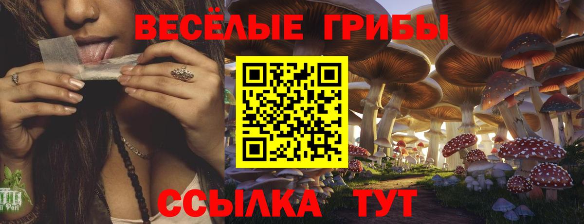 Саранск  Псилоцибиновые грибы GOLDEN TEACHER  Галлюциногенные грибы MAGIC MUSHROOMS  Вход с VPN 